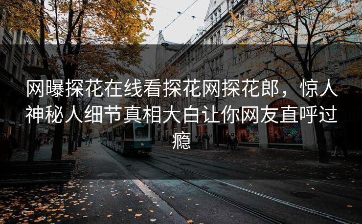 网曝探花在线看探花网探花郎，惊人神秘人细节真相大白让你网友直呼过瘾