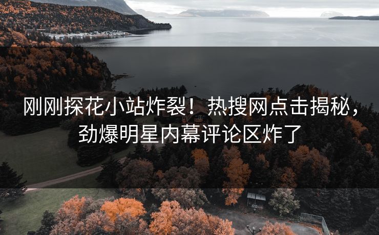 刚刚探花小站炸裂！热搜网点击揭秘，劲爆明星内幕评论区炸了