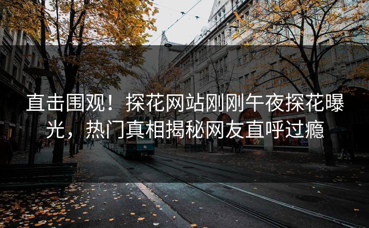 直击围观！探花网站刚刚午夜探花曝光，热门真相揭秘网友直呼过瘾