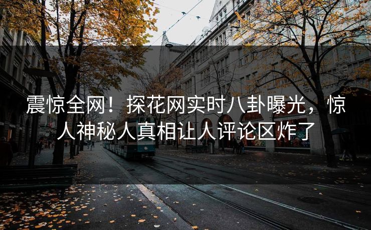 震惊全网！探花网实时八卦曝光，惊人神秘人真相让人评论区炸了  第1张