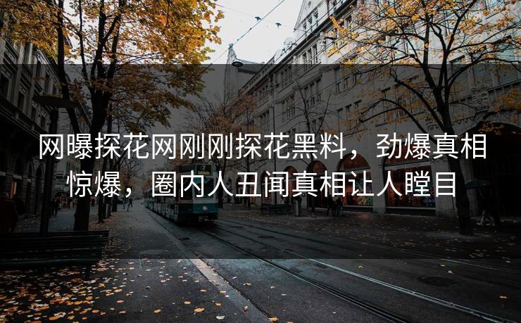 网曝探花网刚刚探花黑料，劲爆真相惊爆，圈内人丑闻真相让人瞠目