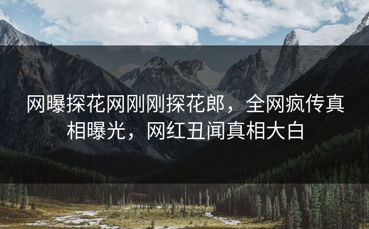 网曝探花网刚刚探花郎，全网疯传真相曝光，网红丑闻真相大白