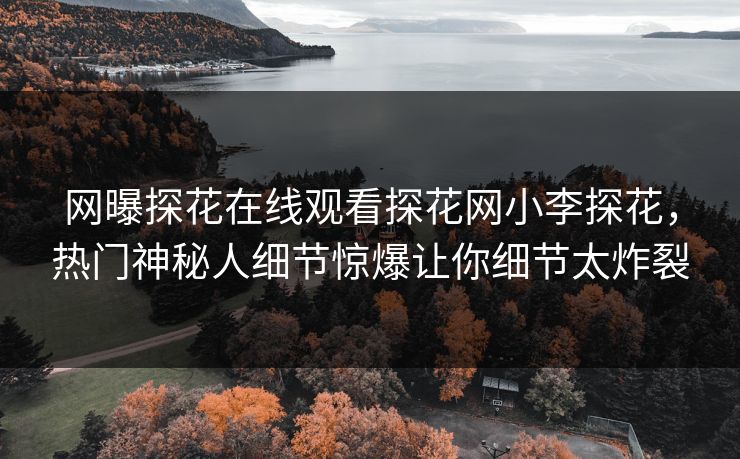 网曝探花在线观看探花网小李探花，热门神秘人细节惊爆让你细节太炸裂