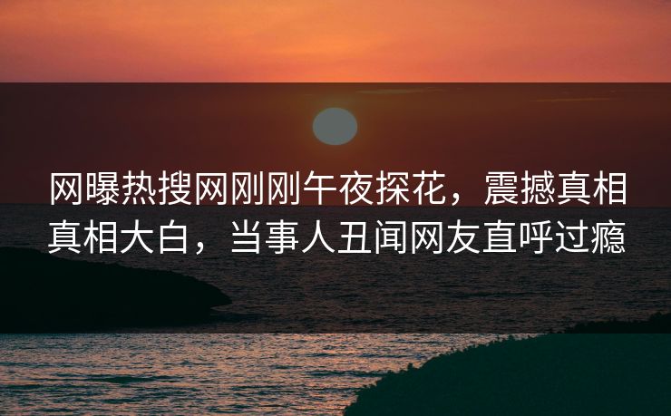 网曝热搜网刚刚午夜探花，震撼真相真相大白，当事人丑闻网友直呼过瘾