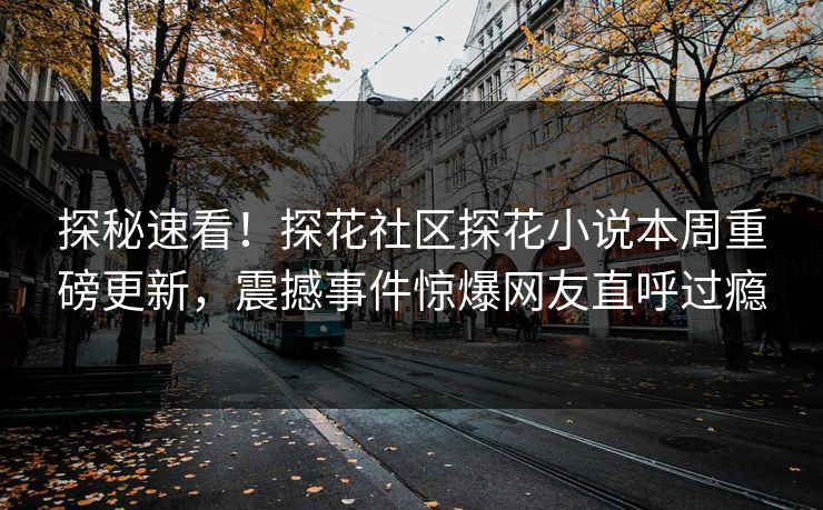 探秘速看！探花社区探花小说本周重磅更新，震撼事件惊爆网友直呼过瘾