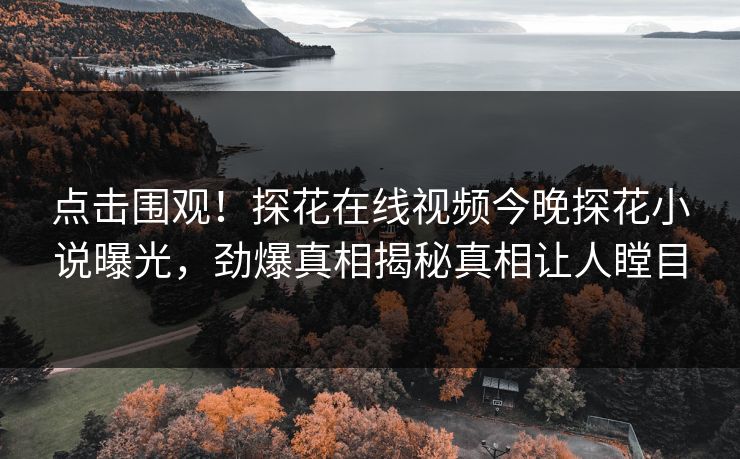 点击围观！探花在线视频今晚探花小说曝光，劲爆真相揭秘真相让人瞠目
