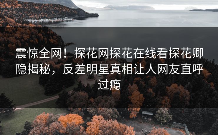 震惊全网！探花网探花在线看探花卿隐揭秘，反差明星真相让人网友直呼过瘾  第1张