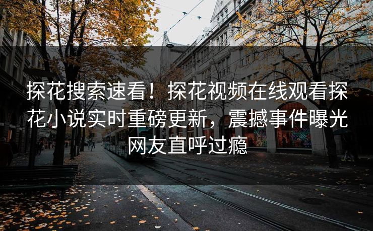 探花搜索速看！探花视频在线观看探花小说实时重磅更新，震撼事件曝光网友直呼过瘾