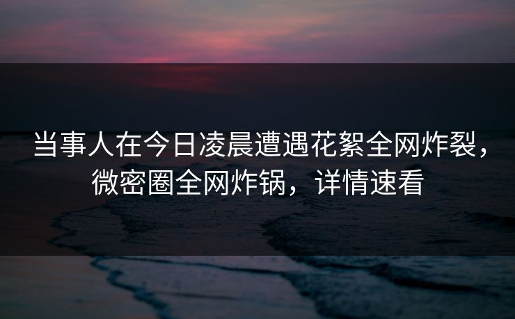 当事人在今日凌晨遭遇花絮全网炸裂，微密圈全网炸锅，详情速看  第1张