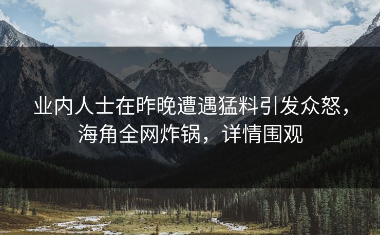 业内人士在昨晚遭遇猛料引发众怒，海角全网炸锅，详情围观