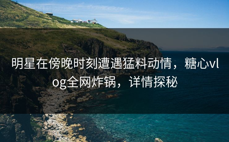 明星在傍晚时刻遭遇猛料动情，糖心vlog全网炸锅，详情探秘