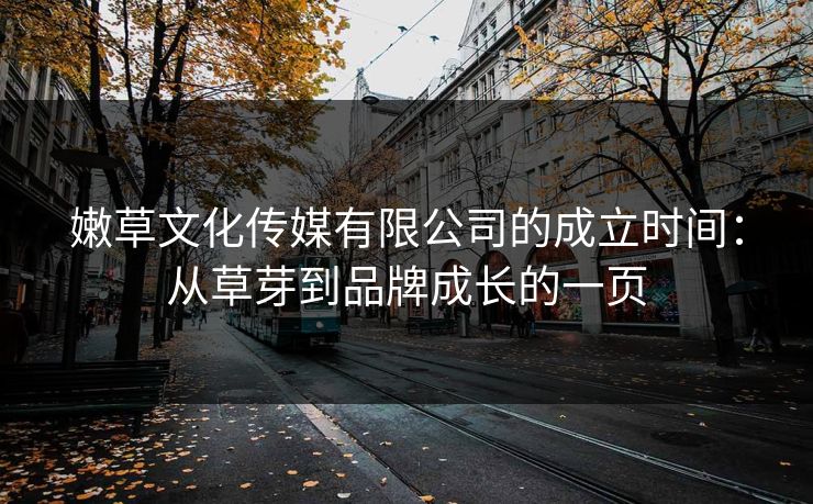 嫩草文化传媒有限公司的成立时间：从草芽到品牌成长的一页
